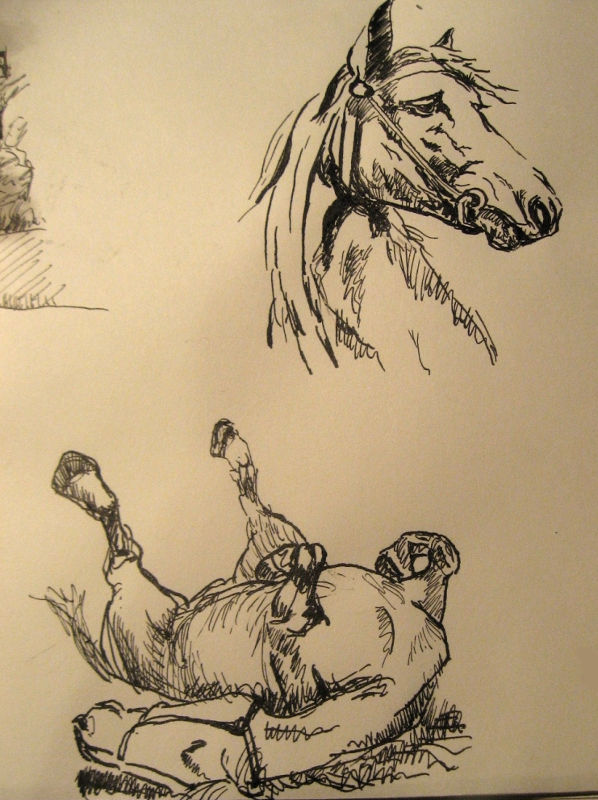 encre chevaux nicolas pennarun