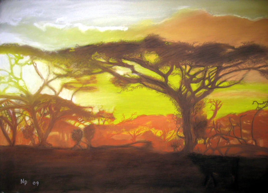 pastel savane nicolas pennarun